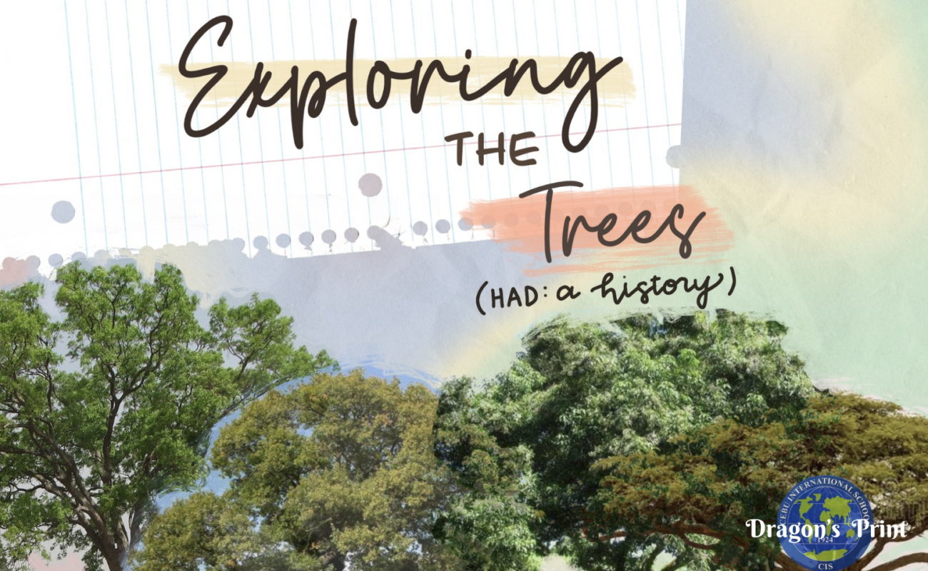 Exploring the Trees! (HAD: A History)